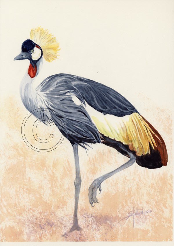 Crane on one leg